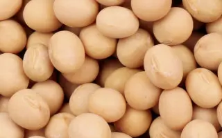 OAC Kamran / ОАЦ Камран