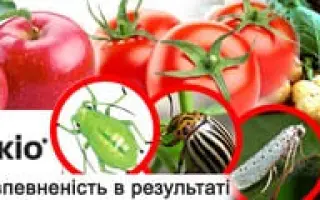 OAC Madoc / ОАЦ Медок