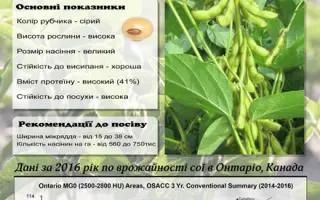 OAC Prescott / ОАЦ Прескот