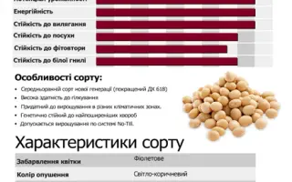 Panorama / Панорама