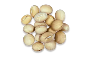 PRO Vesuvio / ПРО Везувіо