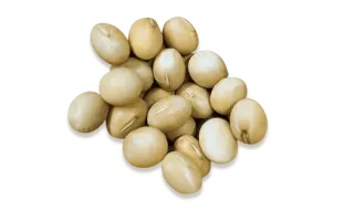 PRO Helicon / ПРО Гелікон