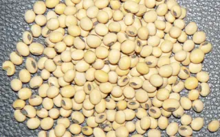 Riverton / Рівертон