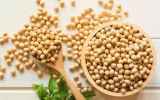 SCULPTOR / СКУЛЬПТОР