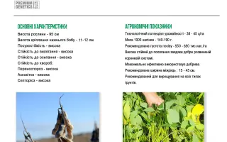 Stine 14F06 / Стайн 14Ф06