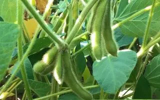 Stine 14H02 / Стайн 14Х02