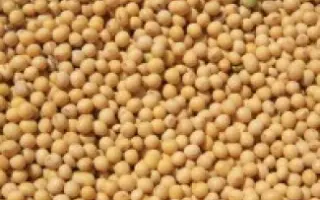 Tertia / Терсія