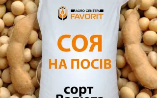 Favorit / Фаворит