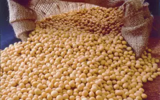 Хуторяночка