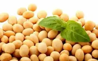 Чернівецька 9