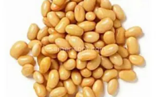 Альтаир / Альтаір