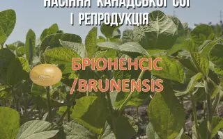 Brunensis / Брюненсіс