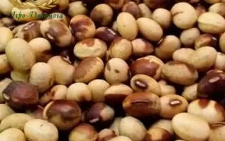 Вільшанка