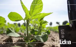 ES CONDUCTOR / ЕС КОНДУКТОР