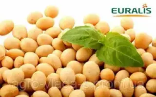 ES SENATOR / ЕС СЕНАТОР