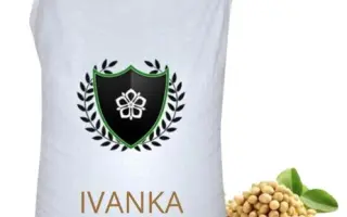 Иванка / Іванка