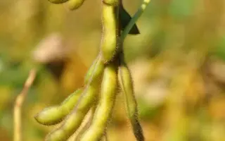 MALAGA / МАЛАГА