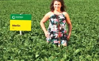 Merlin / Мерлін
