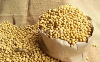 OAC-Vision / ОАЦ-Віжіон