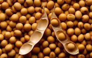 Переяславка