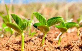 Прикарпатська 96