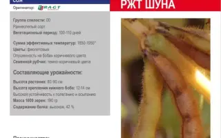 RGT SHOUNA / РЖТ ШУНА