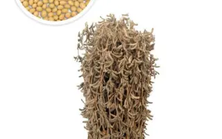 Срібна Рута