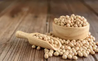 Юг 40 (Юг) / Юг 40