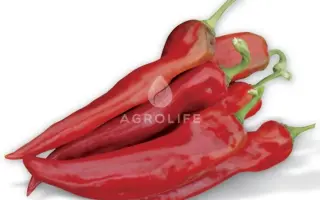 Thunder F1 / Тандер F1