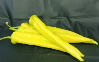 Hotstar / Хотстар