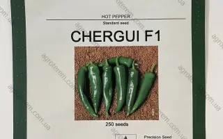 Chergui / Черай