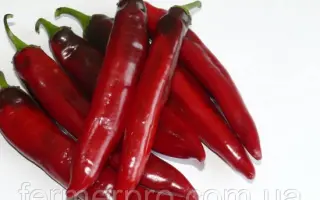 Харьковский / Харківський