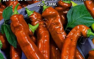 ABAKARA / АБАКАРА