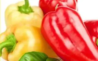 Abigal / Абігал