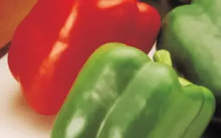 Aristotle X3R F1 / Арістотель Х3Р F1