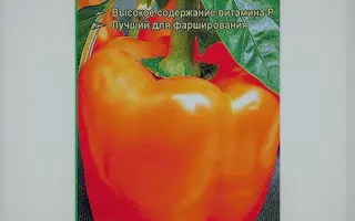 Afrodita / Афродіта