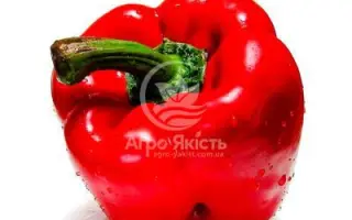 Banckers / Банкерс