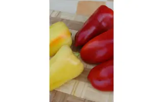 Beatrix / Беатрікс