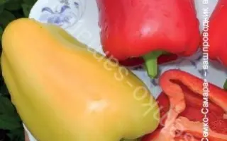 Boneta / Бонета