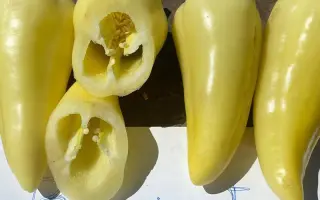 Bravia / Бравія