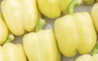 Burabella / Бурабелла