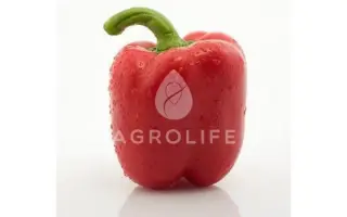 Granova / Гранова