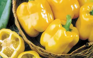 Early Sunsation F1 PS / Ерли Сансейшн F1