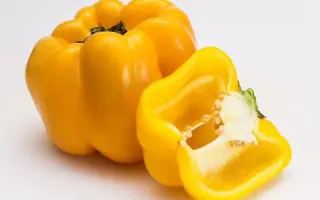 ESPARTANO / ЕСПАРТАНО