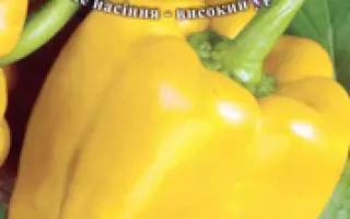 Zhovtyj dyvosvyt / Жовтий дивосвіт