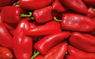 Capirossi / Капіроссі