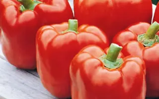 Red Knight F1 / Красний Рицарь F1