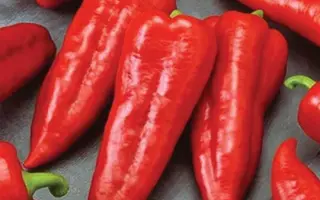 Mercedes / Мерцедес