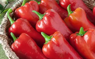 Миролюбівський F1