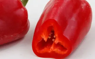 Моноліт